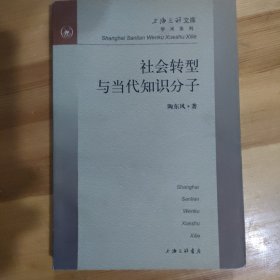 社会转型与当代知识分子