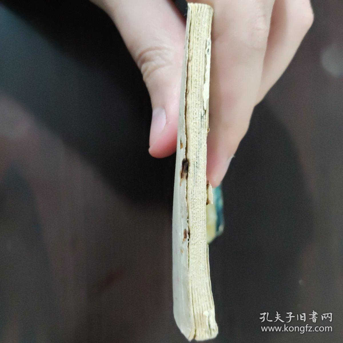 连环画 鲨颚
