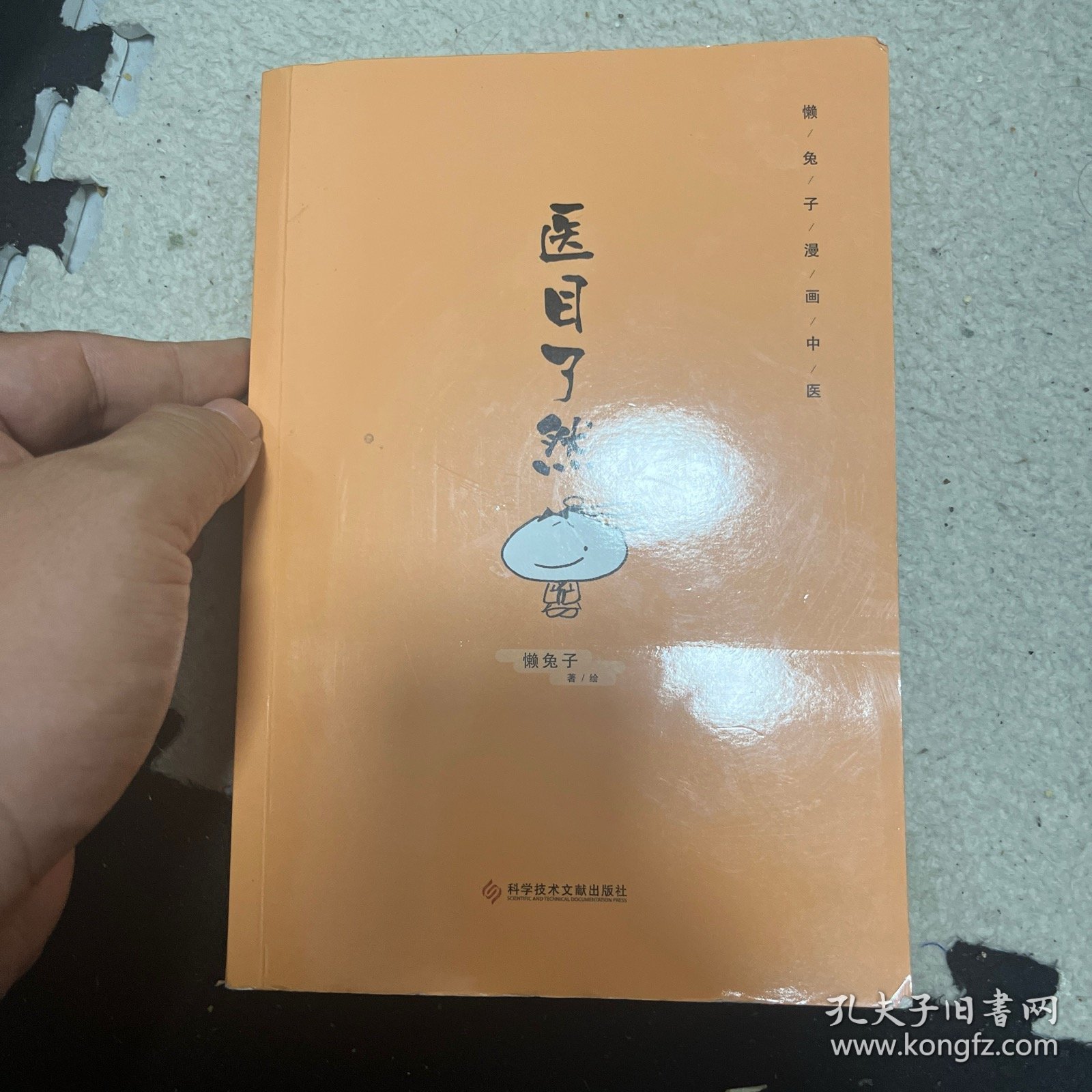 医目了然 家庭常见病中成药使用指南