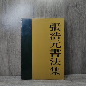 张浩元书法集