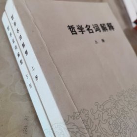 哲学名词解释上下册