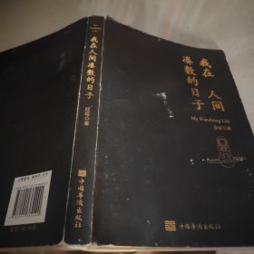 我在人间凑数的日子