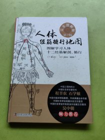 人体经筋循行地图