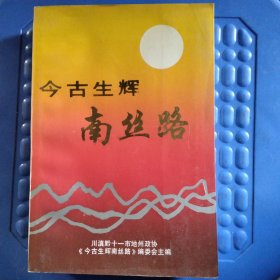 今古生辉南丝路