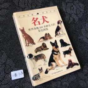 名犬：全世界300多种名犬的彩色图鉴