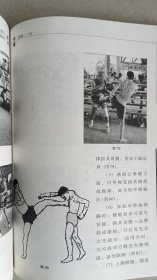 霸拳 亚披勒古法泰拳真传