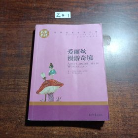 爱丽丝漫游奇境 中小学生课外阅读书籍世界经典文学名著青少年儿童文学读物故事书名家名译原汁原味读原著