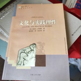 文化与实践理性