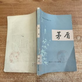 中国现代作家丛书：茅盾