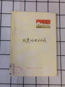 阳光灿烂照西藏(散文集)