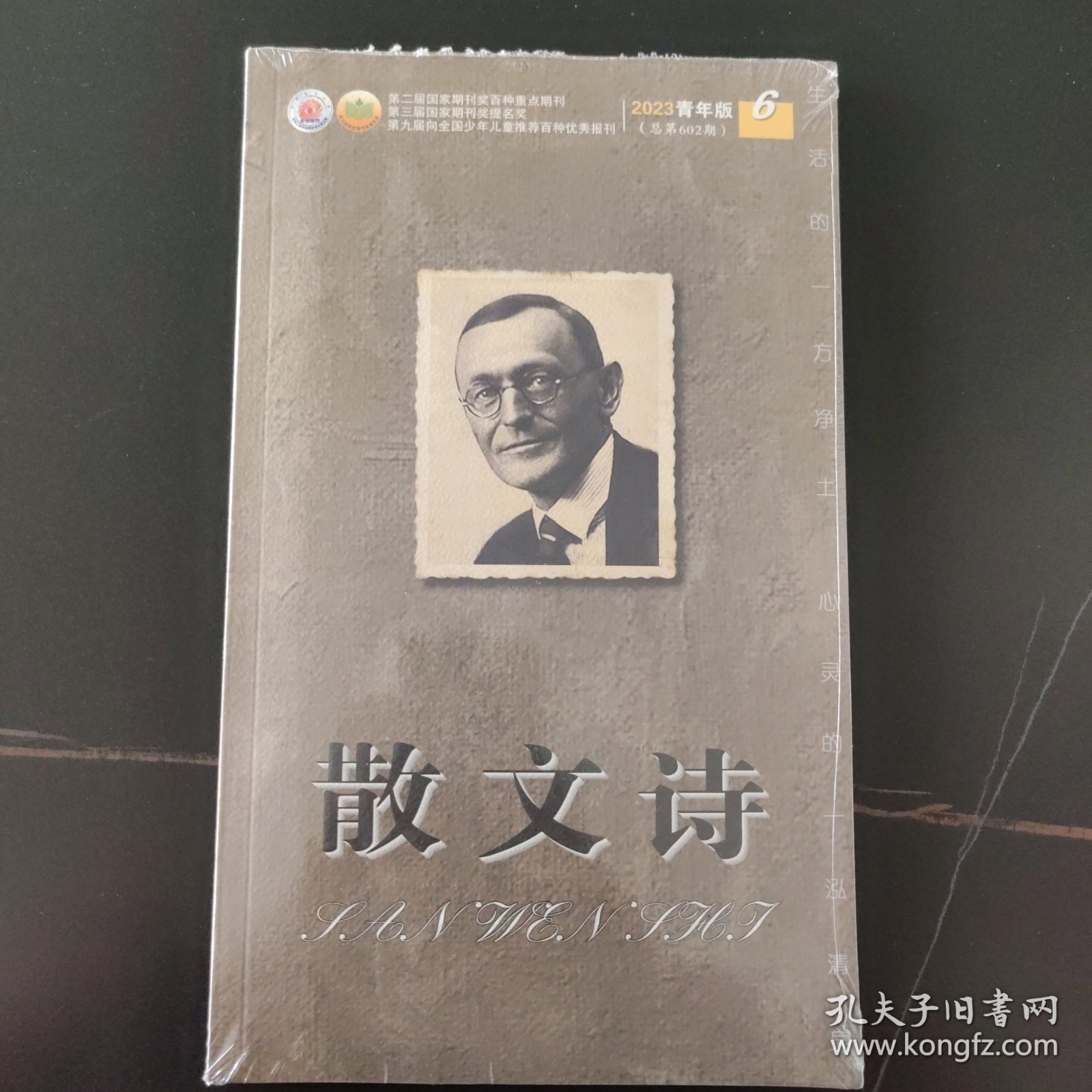 散文诗2023 青年版6 (总第602期)