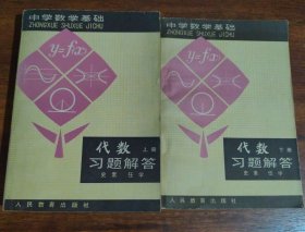 中学数学基础：代数习题解答（上下册）