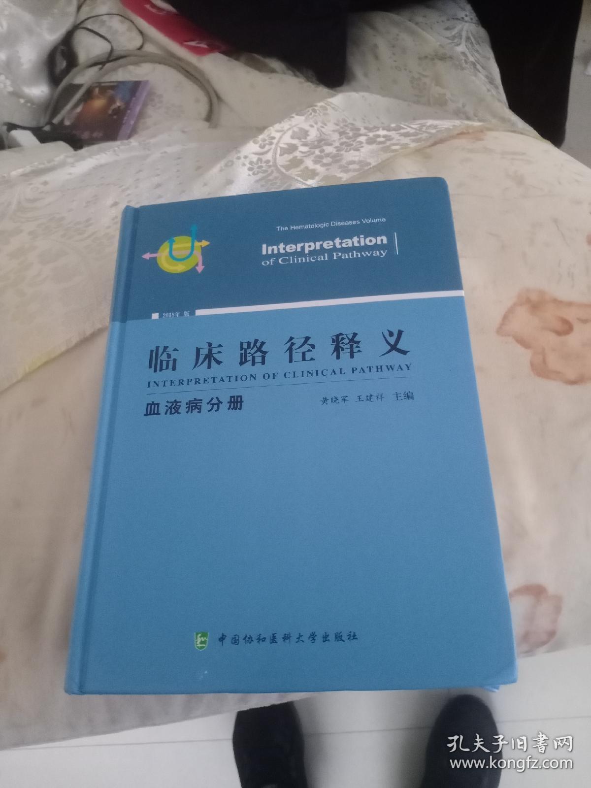 临床路径释义：血液病分册