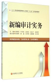 新編審計(jì)實(shí)務(wù)