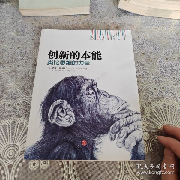 创新的本能：类比思维的力量