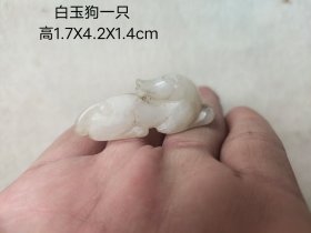 白玉狗一只