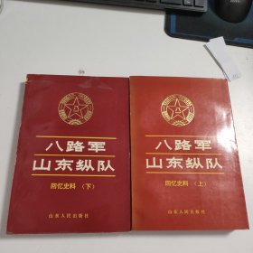 八路军山东纵队回忆史料（上下）V511