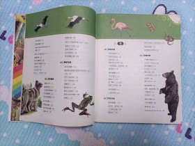 彩书坊·晚安经典:森林报