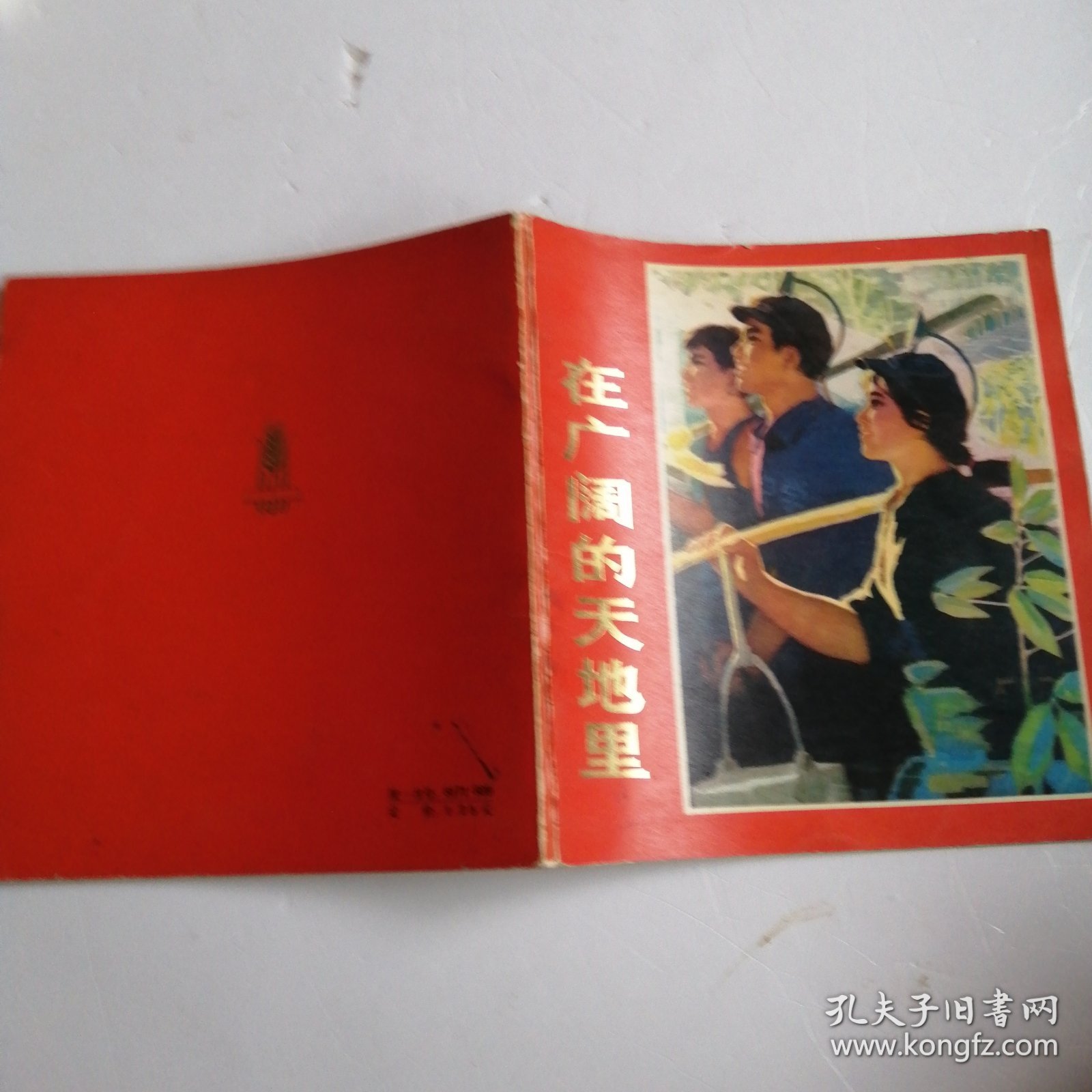 在广阔的天地里