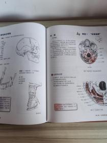 推拿按摩的解剖学基础（第4版）