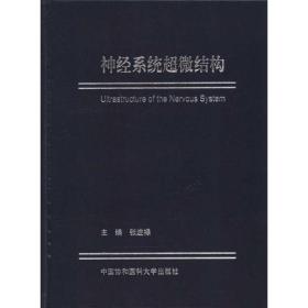 神经系统超微结构 皮肤、性病及精神病学 张进禄主编