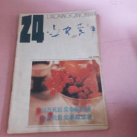 辽宁青年1993年24期