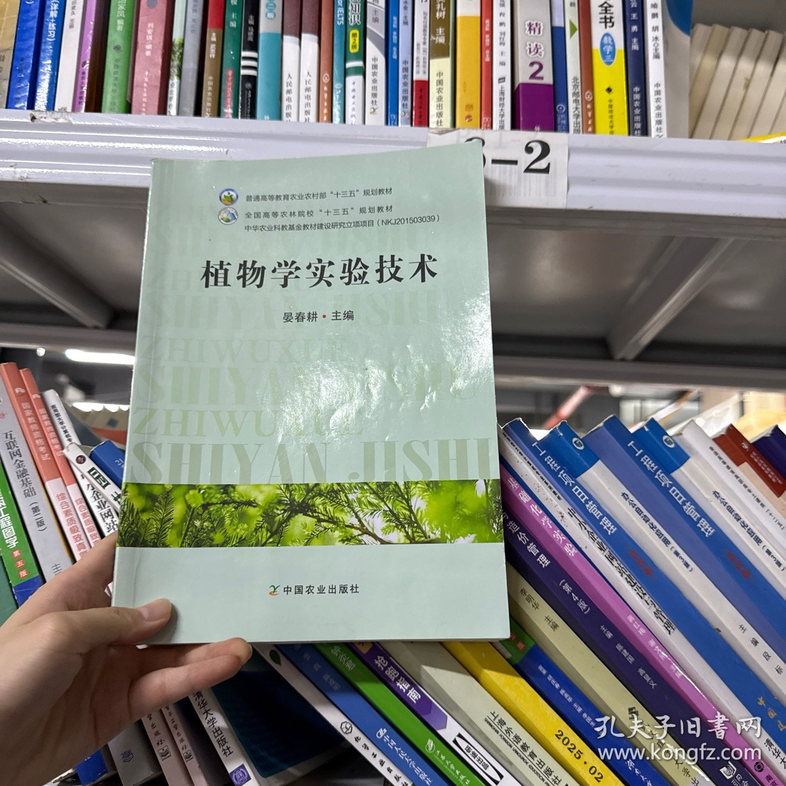 植物学实验技术/全国高等农林院校“十三五”规划教材