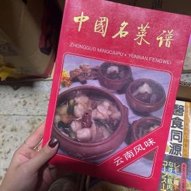 中国名菜谱 云南风味