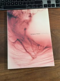 Wolfgang Tillmans Freischwimmer 摄影画册