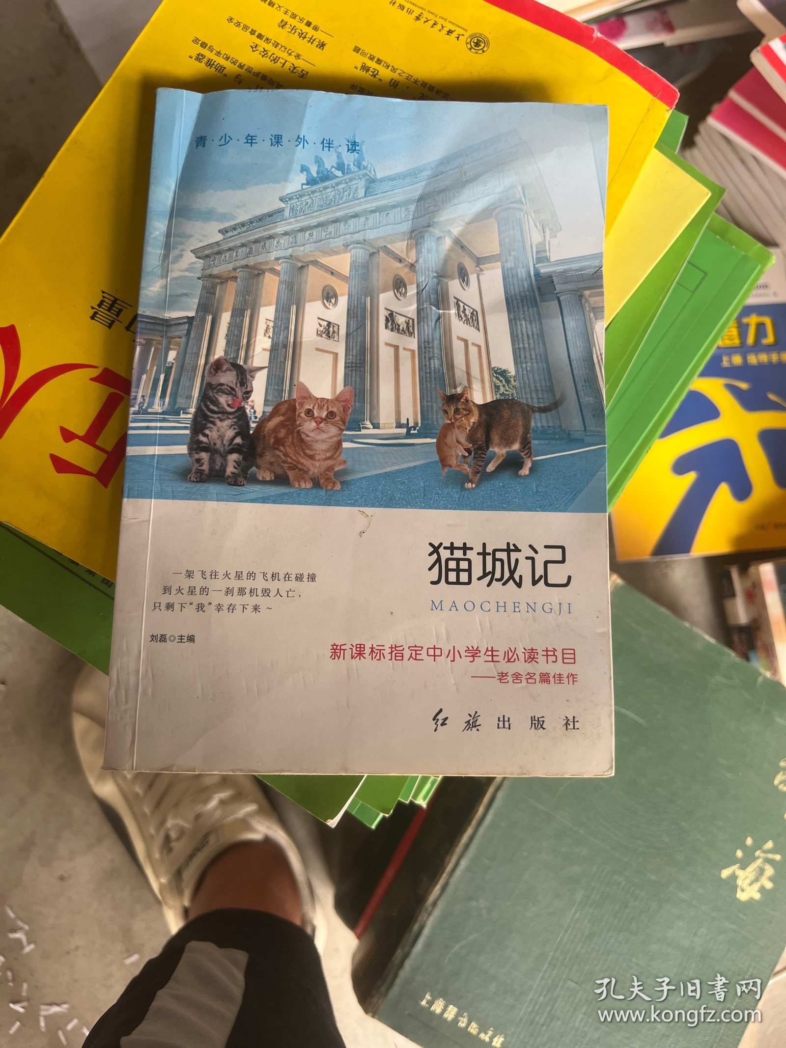 青少年课外伴读