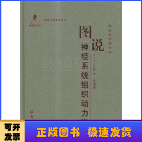 图说组织动力学：图说神经系统组织动力学（第四卷）