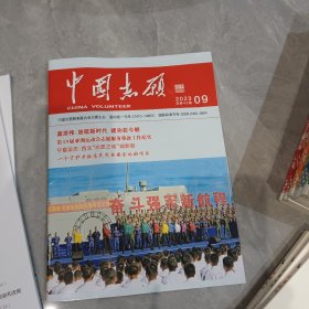 《中国志愿》2023年第9期