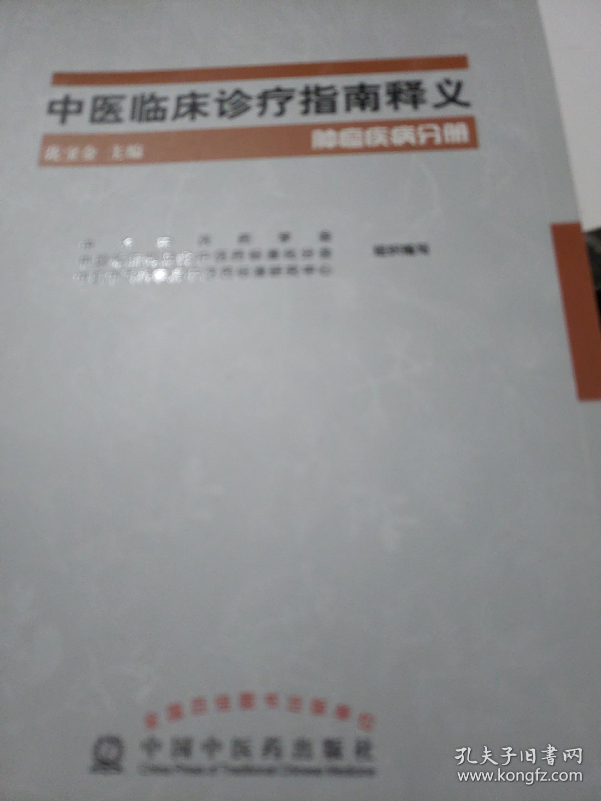 中医临床诊疗指南释义：肿瘤疾病分册