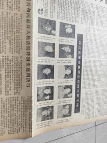 云南日报1981年1月26号