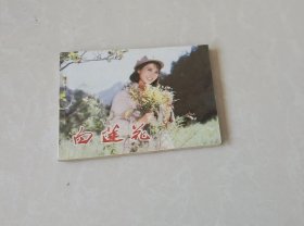 白莲花