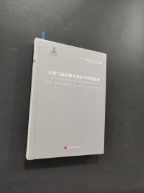 天然气水合物开采安全评价技术