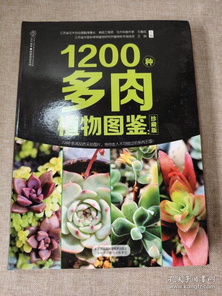 1200种多肉植物图鉴：珍藏版（汉竹）