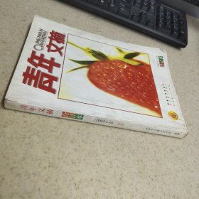青年文摘 合订本 2003 1-6 红版