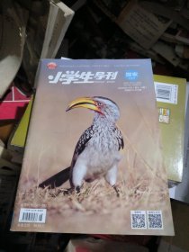 小学生导刊（探索中旬刊）2023年3~4月