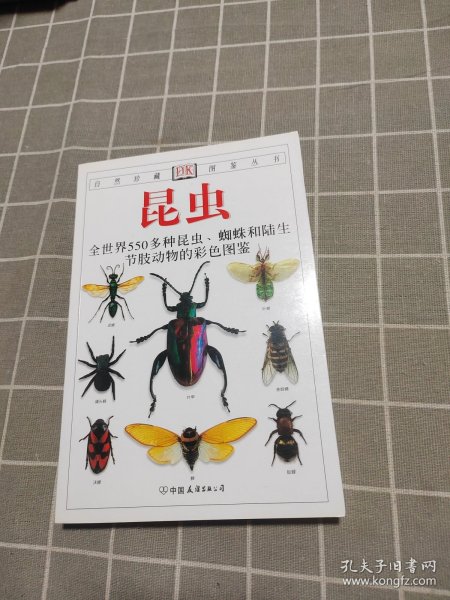 昆虫：全世界550多种昆虫、蜘蛛和陆生节肢动物的彩色图鉴