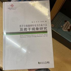 同济博士论丛——质子交换膜燃料电池仿真方法及若干现象研究