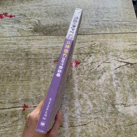 P神微力：PPT微动画