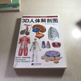 3D人体解剖图