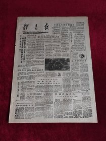 《体育报》1988年5月13日，原版报纸 4开4版（体育报1988年5月13日）