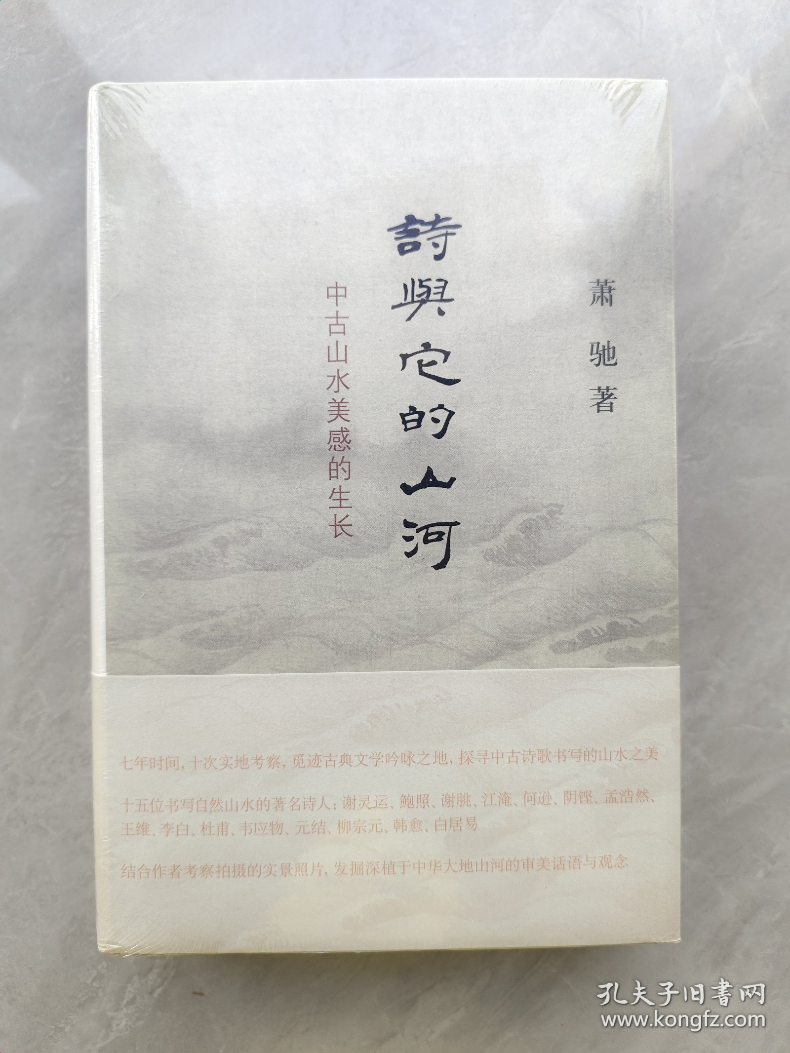 诗与它的山河：中古山水美感的生长