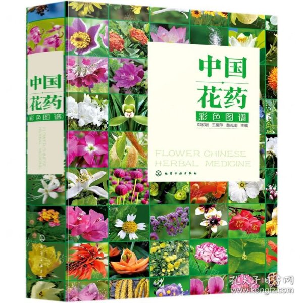 中国花药彩色图谱(精)