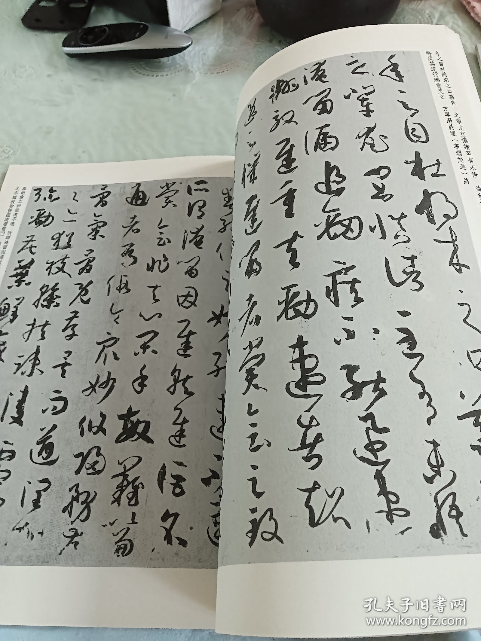 中国历代书法碑帖精粹：孙过庭书谱