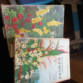 韩文原版 估计是插花艺术的书 两本 品相看图