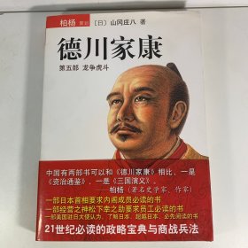 德川家康（第五部）：龙争虎斗