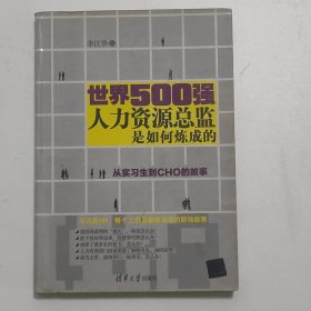 世界500强人力资源总监是如何炼成的：从实习生到CHO的故事